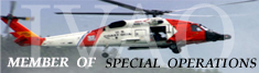 IVAO HQ-SOD Special Operations community banner image 6
